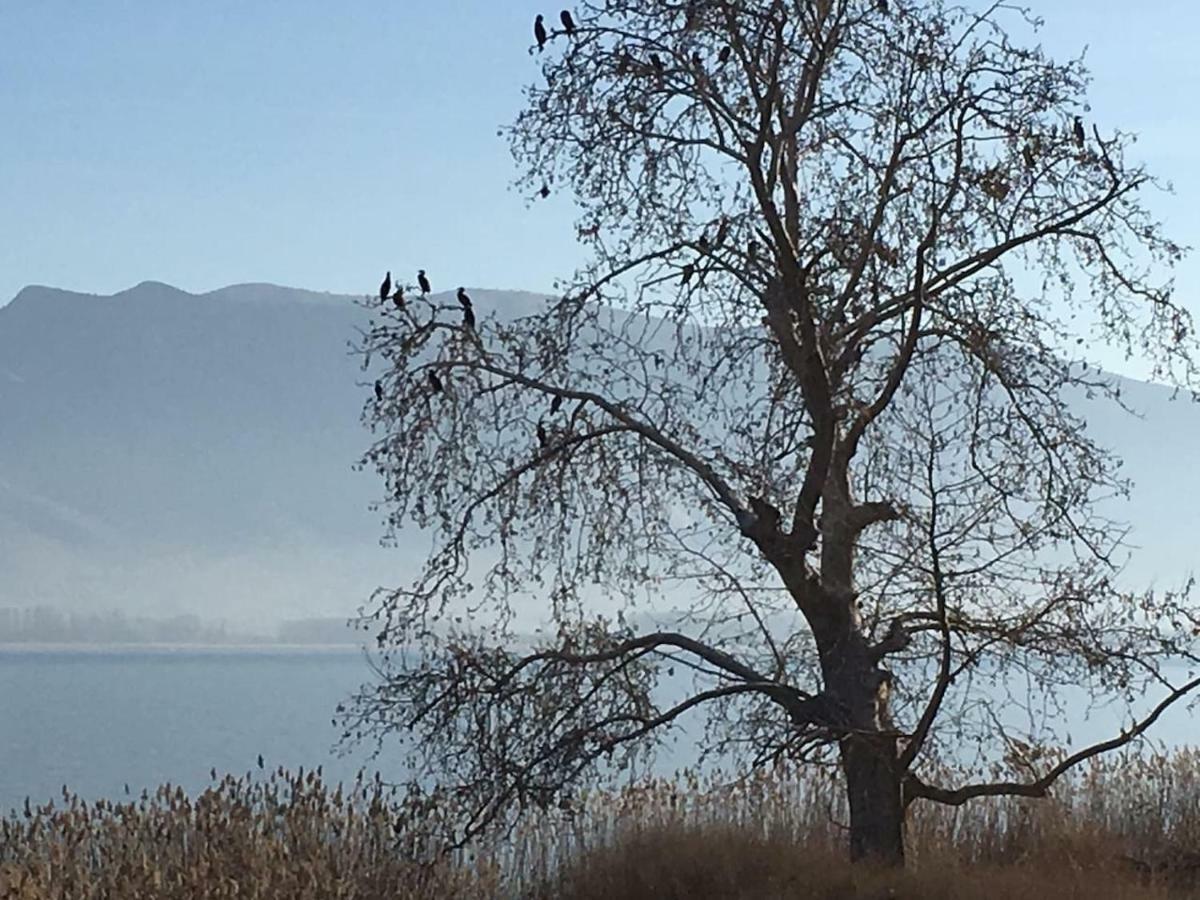 The Little Stone House By The Lake Kastoria Exterior photo